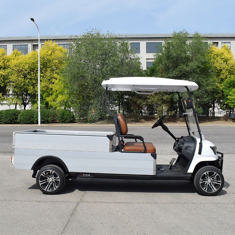 ZYCAR Mini Truck
