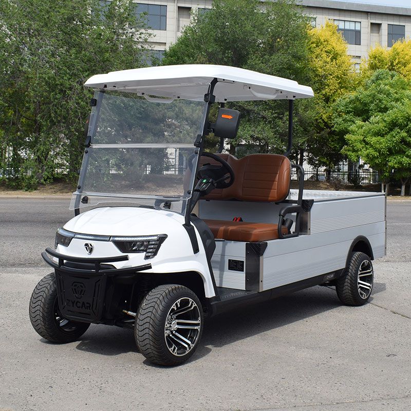 ZYCAR Mini Truck