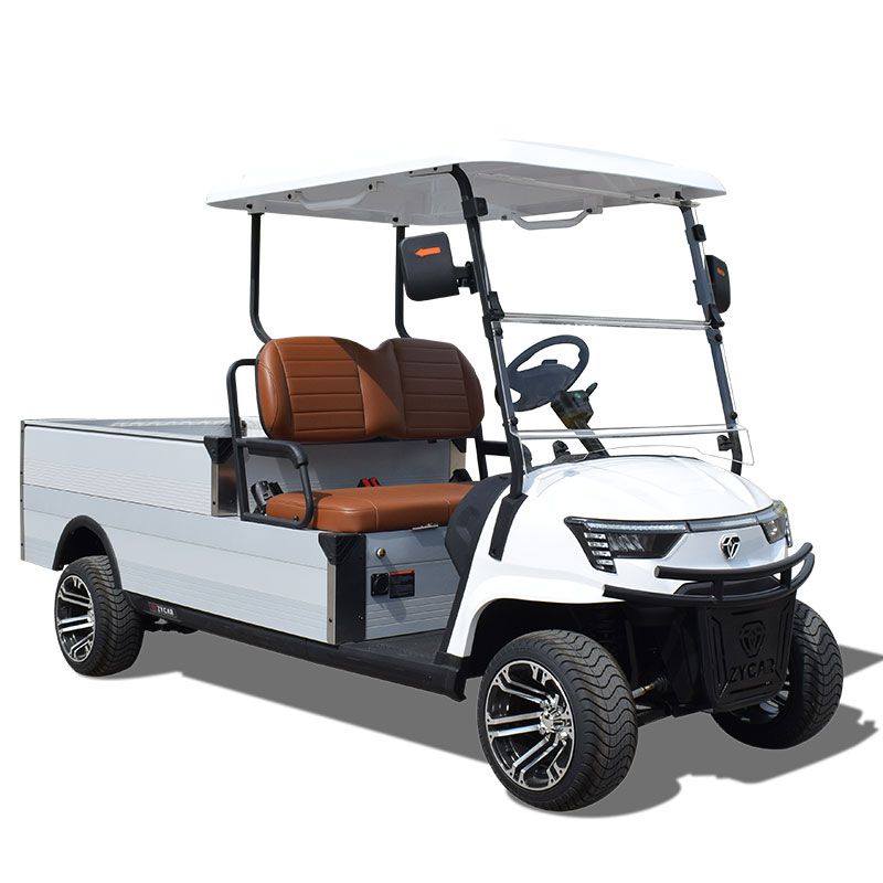 ZYCAR Mini Truck
